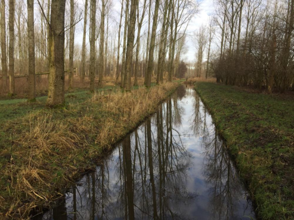Verkennend waterbodemonderzoek + PFAS te Leeuwarden